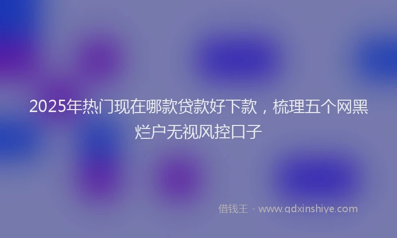2025年热门现在哪款贷款好下款，梳理五个网黑烂户无视风控口子