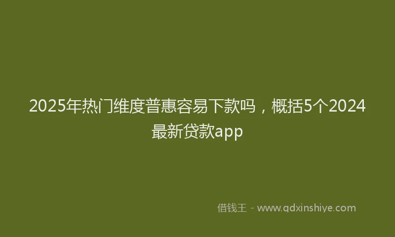 2025年热门维度普惠容易下款吗，概括5个2024最新贷款app