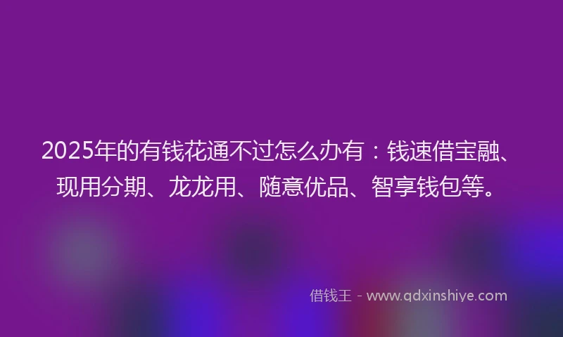 2025年的有钱花通不过怎么办有：钱速借宝融、现用分期、龙龙用、随意优品、智享钱包等。