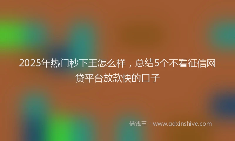 2025年热门秒下王怎么样，总结5个不看征信网贷平台放款快的口子