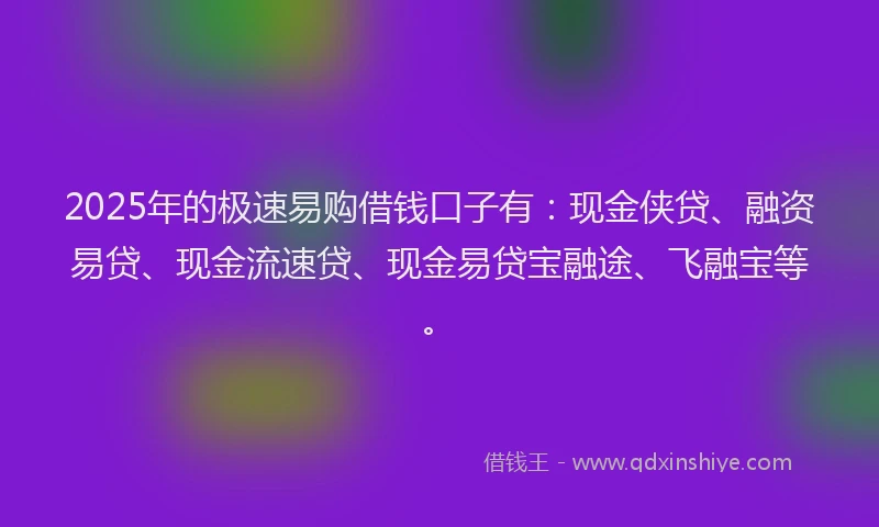 2025年的极速易购借钱口子有：现金侠贷、融资易贷、现金流速贷、现金易贷宝融途、飞融宝等。