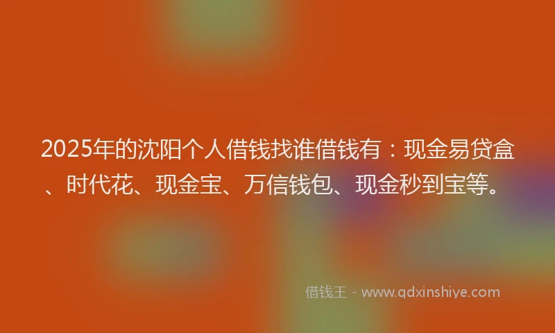 2025年的沈阳个人借钱找谁借钱有：现金易贷盒、时代花、现金宝、万信钱包、现金秒到宝等。