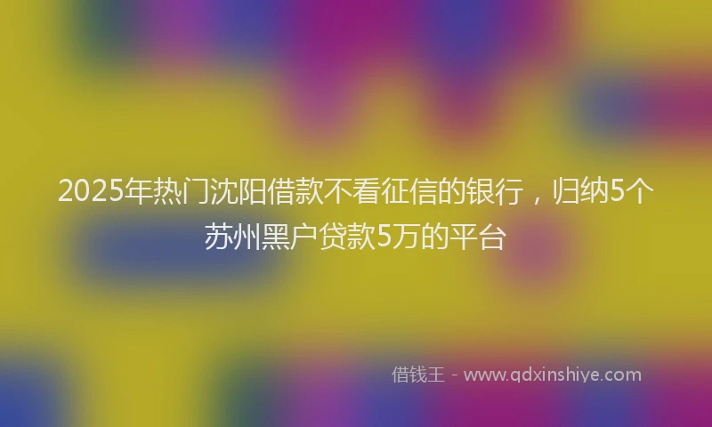 2025年热门沈阳借款不看征信的银行，归纳5个苏州黑户贷款5万的平台