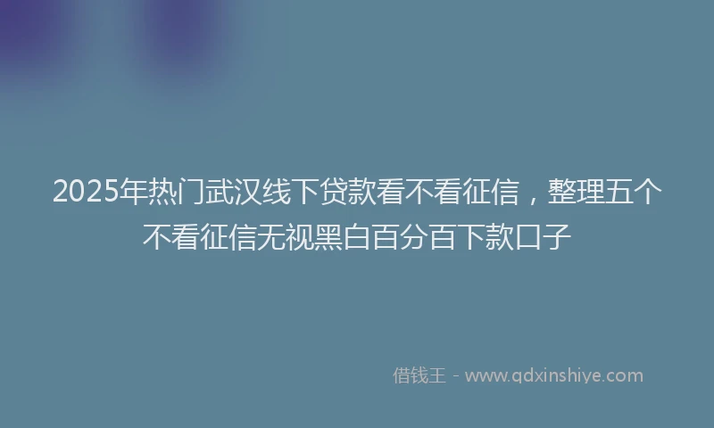 2025年热门武汉线下贷款看不看征信，整理五个不看征信无视黑白百分百下款口子