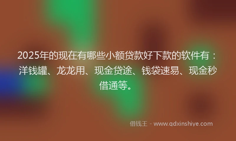 2025年的现在有哪些小额贷款好下款的软件有：洋钱罐、龙龙用、现金贷途、钱袋速易、现金秒借通等。
