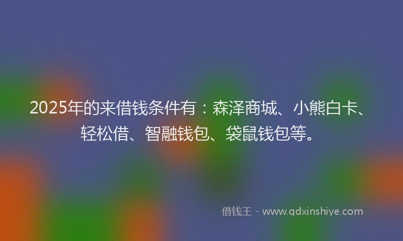 2025年的来借钱条件有：森泽商城、小熊白卡、轻松借、智融钱包、袋鼠钱包等。