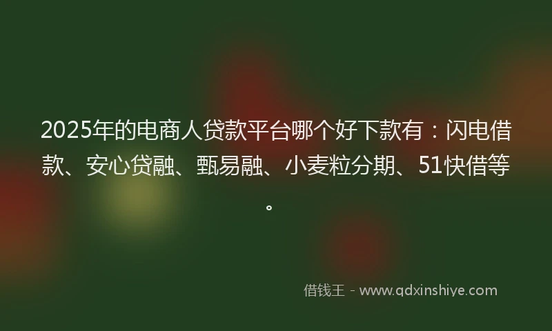 2025年的电商人贷款平台哪个好下款有：闪电借款、安心贷融、甄易融、小麦粒分期、51快借等。