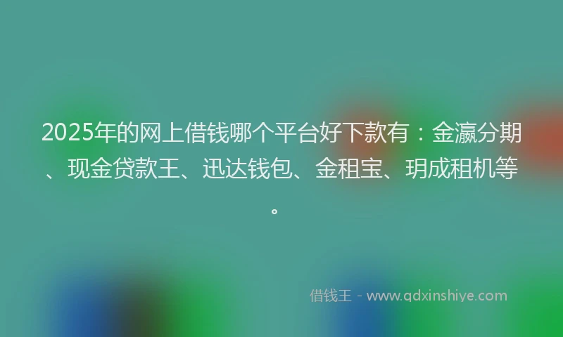 2025年的网上借钱哪个平台好下款有：金瀛分期、现金贷款王、迅达钱包、金租宝、玥成租机等。