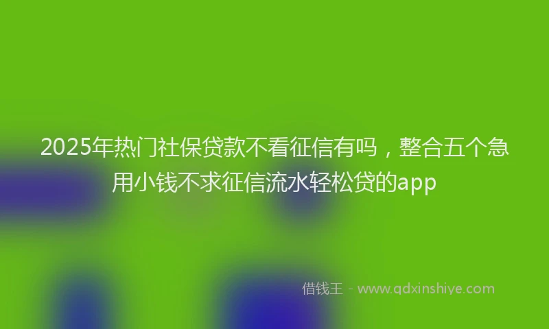 2025年热门社保贷款不看征信有吗，整合五个急用小钱不求征信流水轻松贷的app