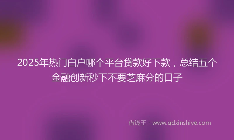 2025年热门白户哪个平台贷款好下款，总结五个金融创新秒下不要芝麻分的口子