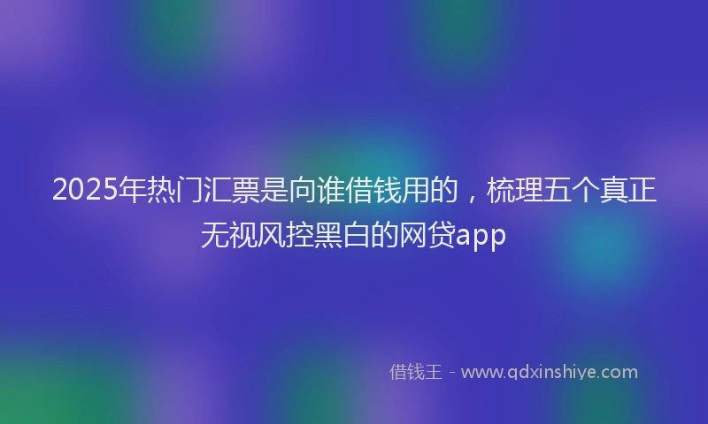 2025年热门汇票是向谁借钱用的，梳理五个真正无视风控黑白的网贷app