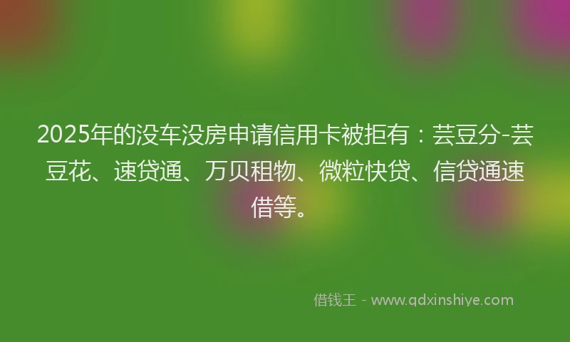 2025年的没车没房申请信用卡被拒有：芸豆分-芸豆花、速贷通、万贝租物、微粒快贷、信贷通速借等。