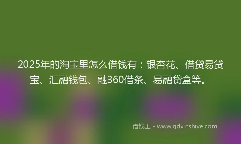 2025年的淘宝里怎么借钱有：银杏花、借贷易贷宝、汇融钱包、融360借条、易融贷盒等。