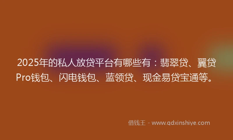 2025年的私人放贷平台有哪些有：翡翠贷、翼贷Pro钱包、闪电钱包、蓝领贷、现金易贷宝通等。