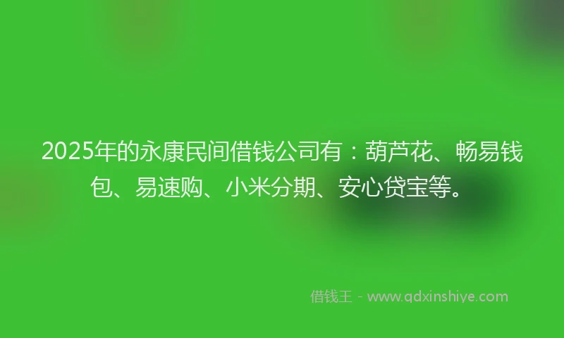 2025年的永康民间借钱公司有：葫芦花、畅易钱包、易速购、小米分期、安心贷宝等。