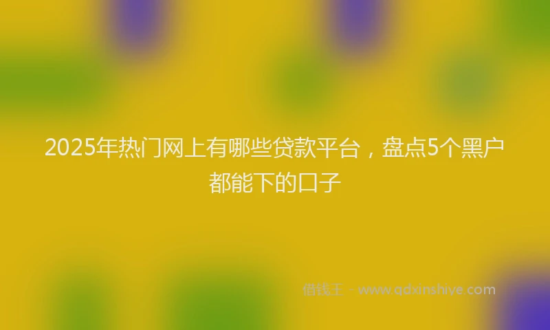 2025年热门网上有哪些贷款平台，盘点5个黑户都能下的口子