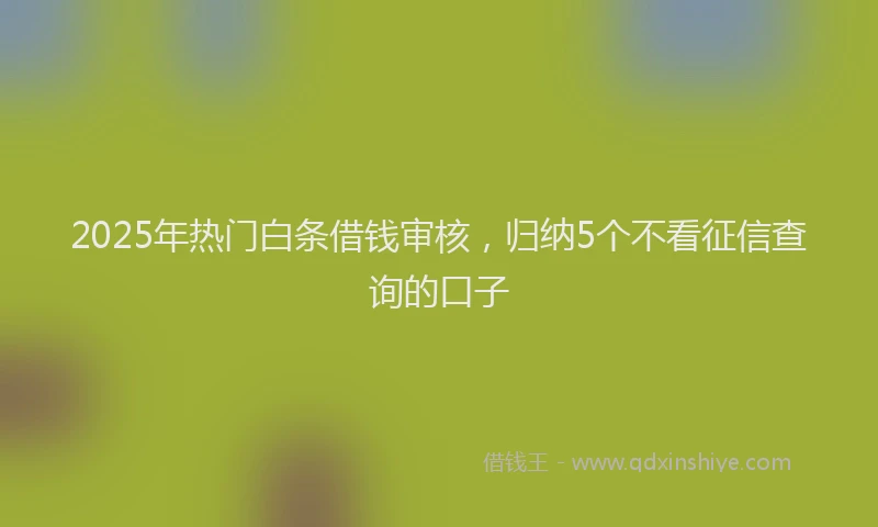 2025年热门白条借钱审核，归纳5个不看征信查询的口子