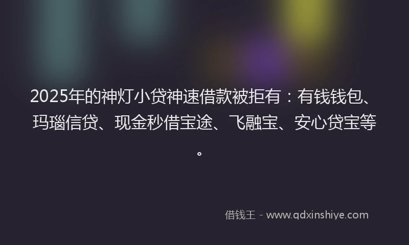 2025年的神灯小贷神速借款被拒有：有钱钱包、玛瑙信贷、现金秒借宝途、飞融宝、安心贷宝等。