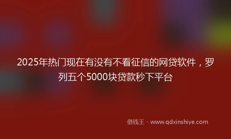 2025年热门现在有没有不看征信的网贷软件，罗列五个5000块贷款秒下平台