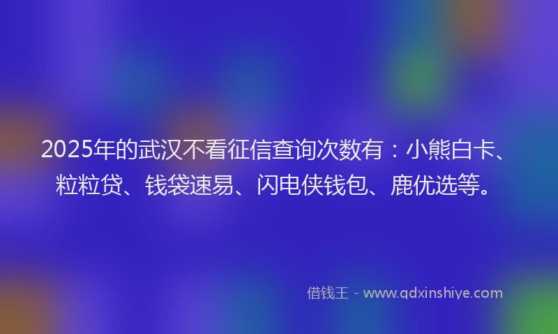 2025年的武汉不看征信查询次数有：小熊白卡、粒粒贷、钱袋速易、闪电侠钱包、鹿优选等。