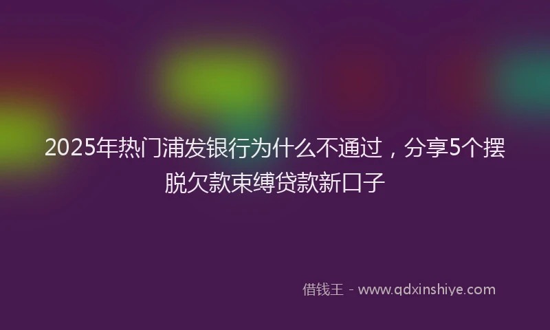 2025年热门浦发银行为什么不通过，分享5个摆脱欠款束缚贷款新口子