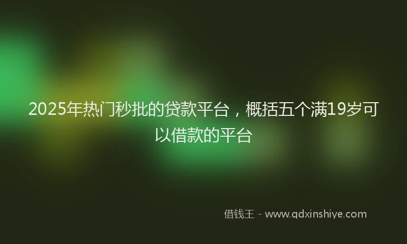 2025年热门秒批的贷款平台，概括五个满19岁可以借款的平台