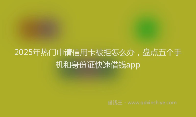 2025年热门申请信用卡被拒怎么办，盘点五个手机和身份证快速借钱app