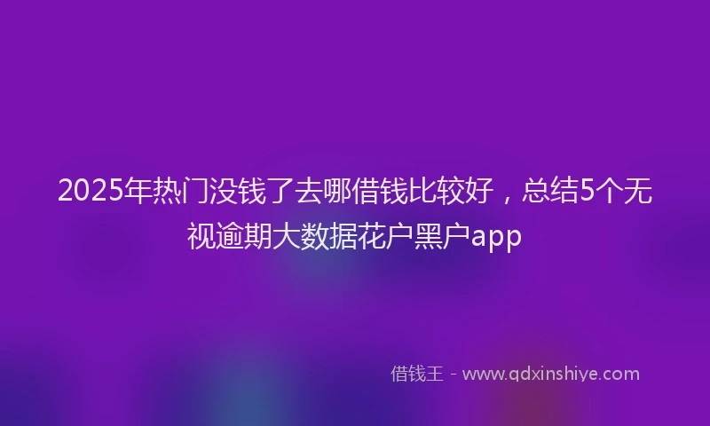 2025年热门没钱了去哪借钱比较好，总结5个无视逾期大数据花户黑户app