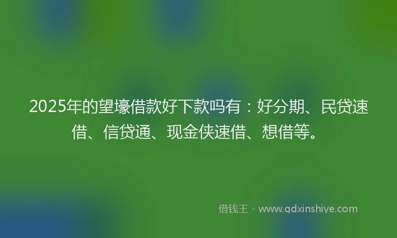 2025年的望壕借款好下款吗有：好分期、民贷速借、信贷通、现金侠速借、想借等。