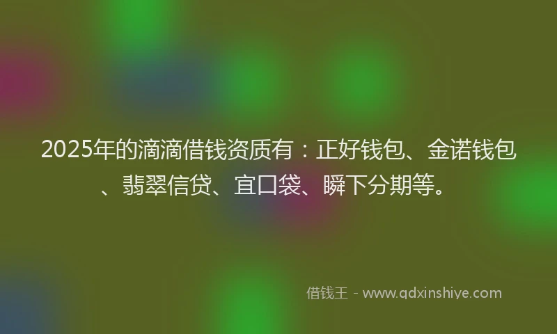 2025年的滴滴借钱资质有：正好钱包、金诺钱包、翡翠信贷、宜口袋、瞬下分期等。