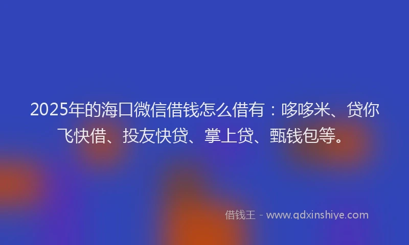 2025年的海口微信借钱怎么借有：哆哆米、贷你飞快借、投友快贷、掌上贷、甄钱包等。