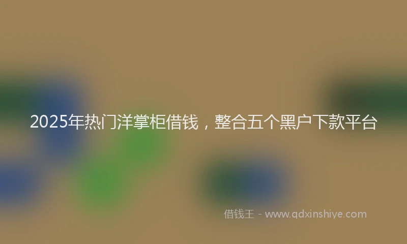 2025年热门洋掌柜借钱，整合五个黑户下款平台