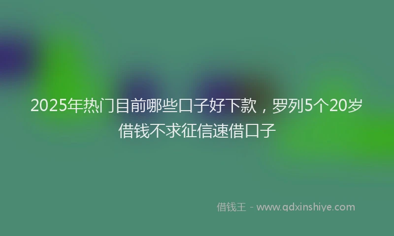 2025年热门目前哪些口子好下款，罗列5个20岁借钱不求征信速借口子