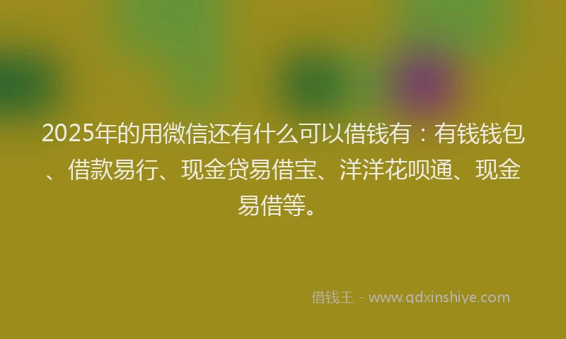 2025年的用微信还有什么可以借钱有：有钱钱包、借款易行、现金贷易借宝、洋洋花呗通、现金易借等。