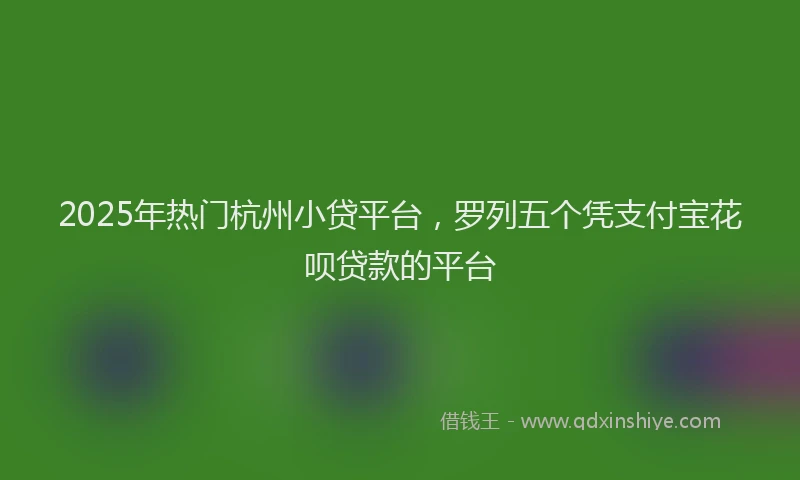 2025年热门杭州小贷平台，罗列五个凭支付宝花呗贷款的平台