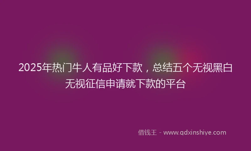 2025年热门牛人有品好下款，总结五个无视黑白无视征信申请就下款的平台
