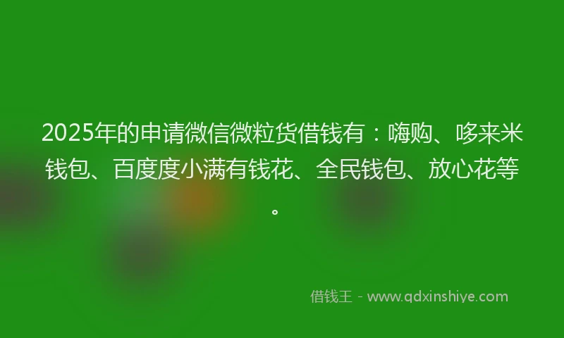 2025年的申请微信微粒货借钱有：嗨购、哆来米钱包、百度度小满有钱花、全民钱包、放心花等。
