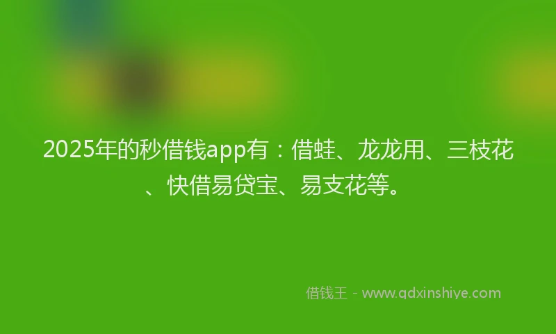 2025年的秒借钱app有：借蛙、龙龙用、三枝花、快借易贷宝、易支花等。