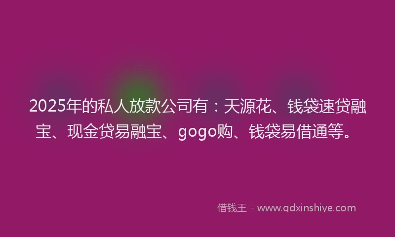 2025年的私人放款公司有：天源花、钱袋速贷融宝、现金贷易融宝、gogo购、钱袋易借通等。