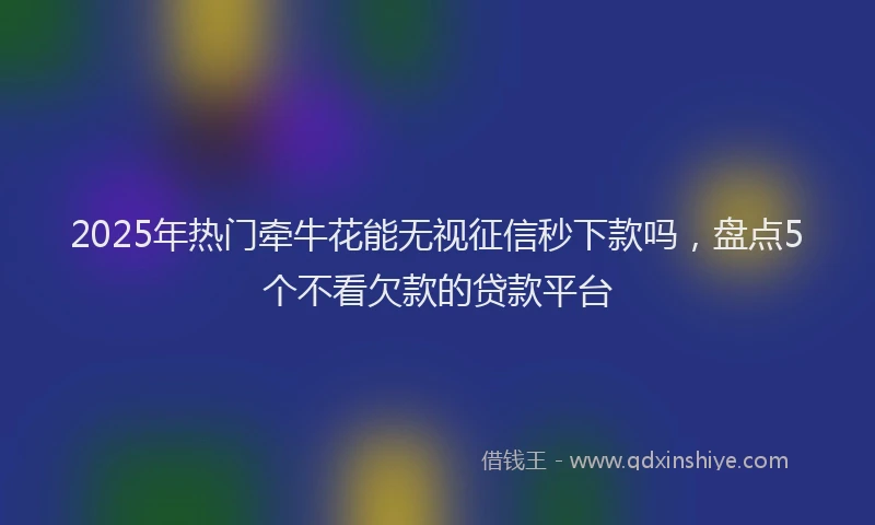 2025年热门牵牛花能无视征信秒下款吗，盘点5个不看欠款的贷款平台