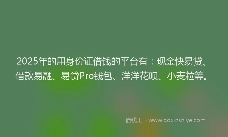2025年的用身份证借钱的平台有：现金快易贷、借款易融、易贷Pro钱包、洋洋花呗、小麦粒等。