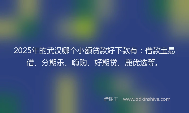 2025年的武汉哪个小额贷款好下款有：借款宝易借、分期乐、嗨购、好期贷、鹿优选等。