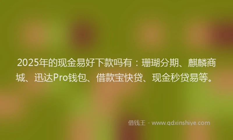 2025年的现金易好下款吗有：珊瑚分期、麒麟商城、迅达Pro钱包、借款宝快贷、现金秒贷易等。