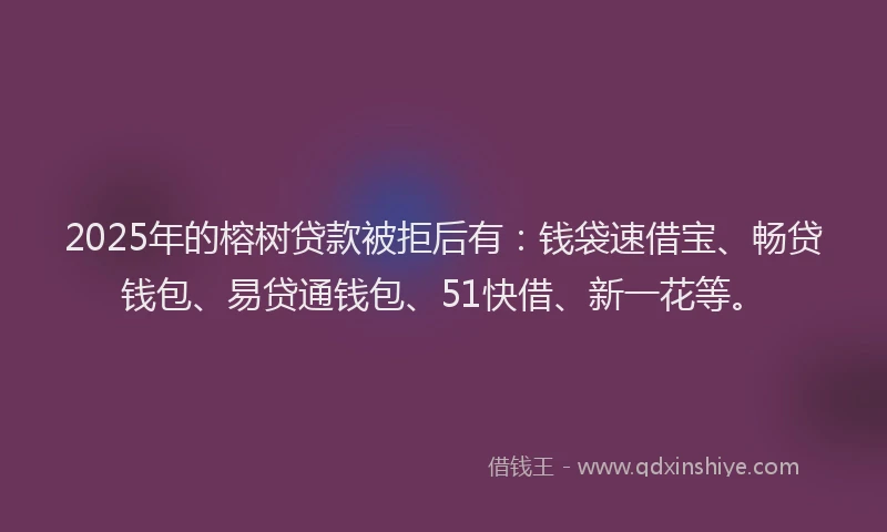 2025年的榕树贷款被拒后有：钱袋速借宝、畅贷钱包、易贷通钱包、51快借、新一花等。