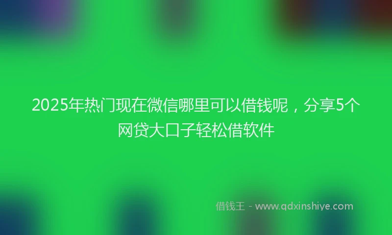 2025年热门现在微信哪里可以借钱呢，分享5个网贷大口子轻松借软件