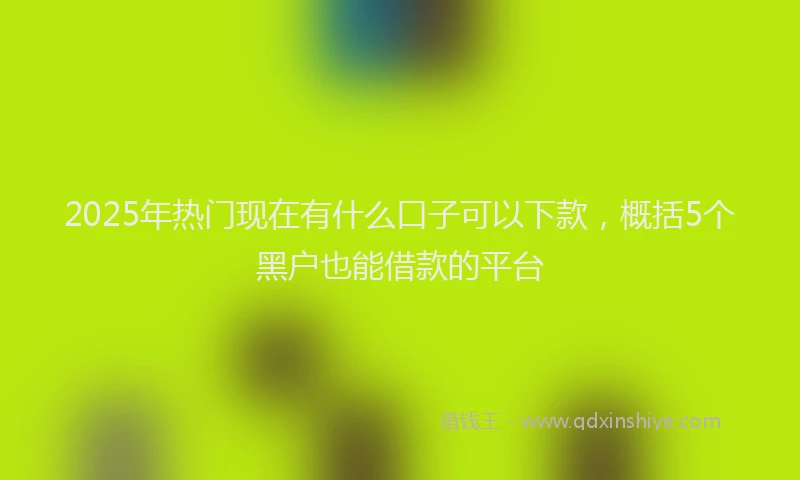 2025年热门现在有什么口子可以下款，概括5个黑户也能借款的平台