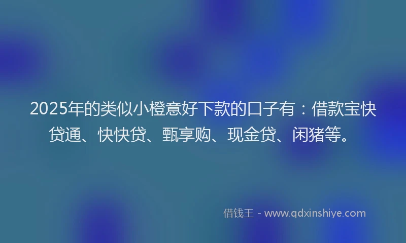 2025年的类似小橙意好下款的口子有：借款宝快贷通、快快贷、甄享购、现金贷、闲猪等。