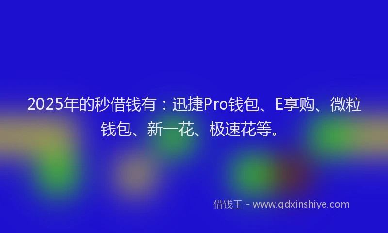2025年的秒借钱有：迅捷Pro钱包、E享购、微粒钱包、新一花、极速花等。