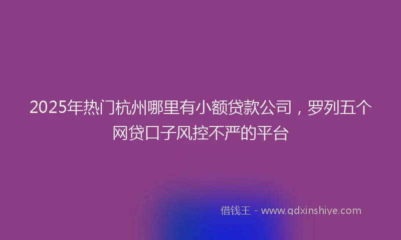 2025年热门杭州哪里有小额贷款公司，罗列五个网贷口子风控不严的平台