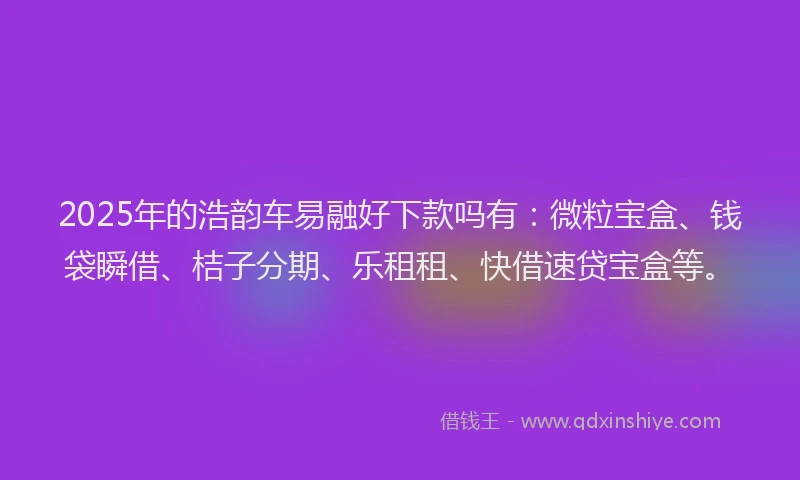 2025年的浩韵车易融好下款吗有：微粒宝盒、钱袋瞬借、桔子分期、乐租租、快借速贷宝盒等。